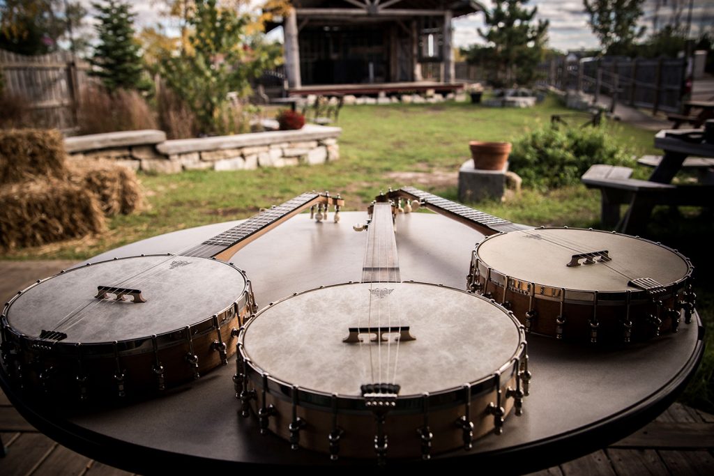 Bloom's Banjos Models