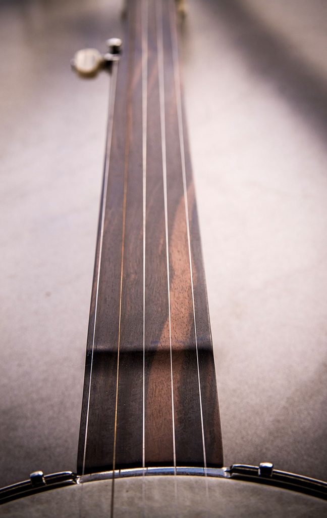 Fretless Detail